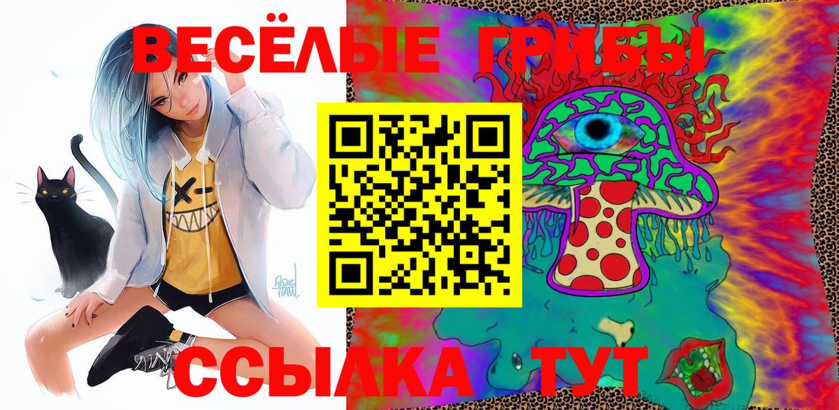 Псилоцибиновые грибы мицелий  Вход с VPN  Владикавказ 